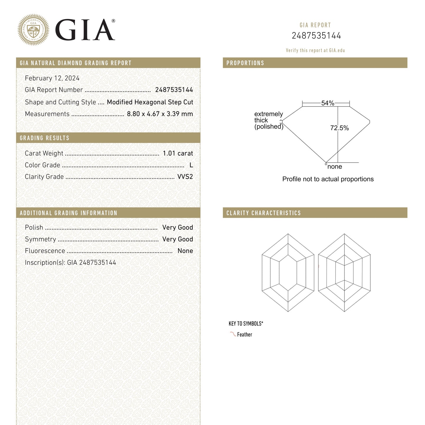 1.01ct 8.80x4.67x3.39mm GIA VVS2 L Hexagon Step Cut 25078-01