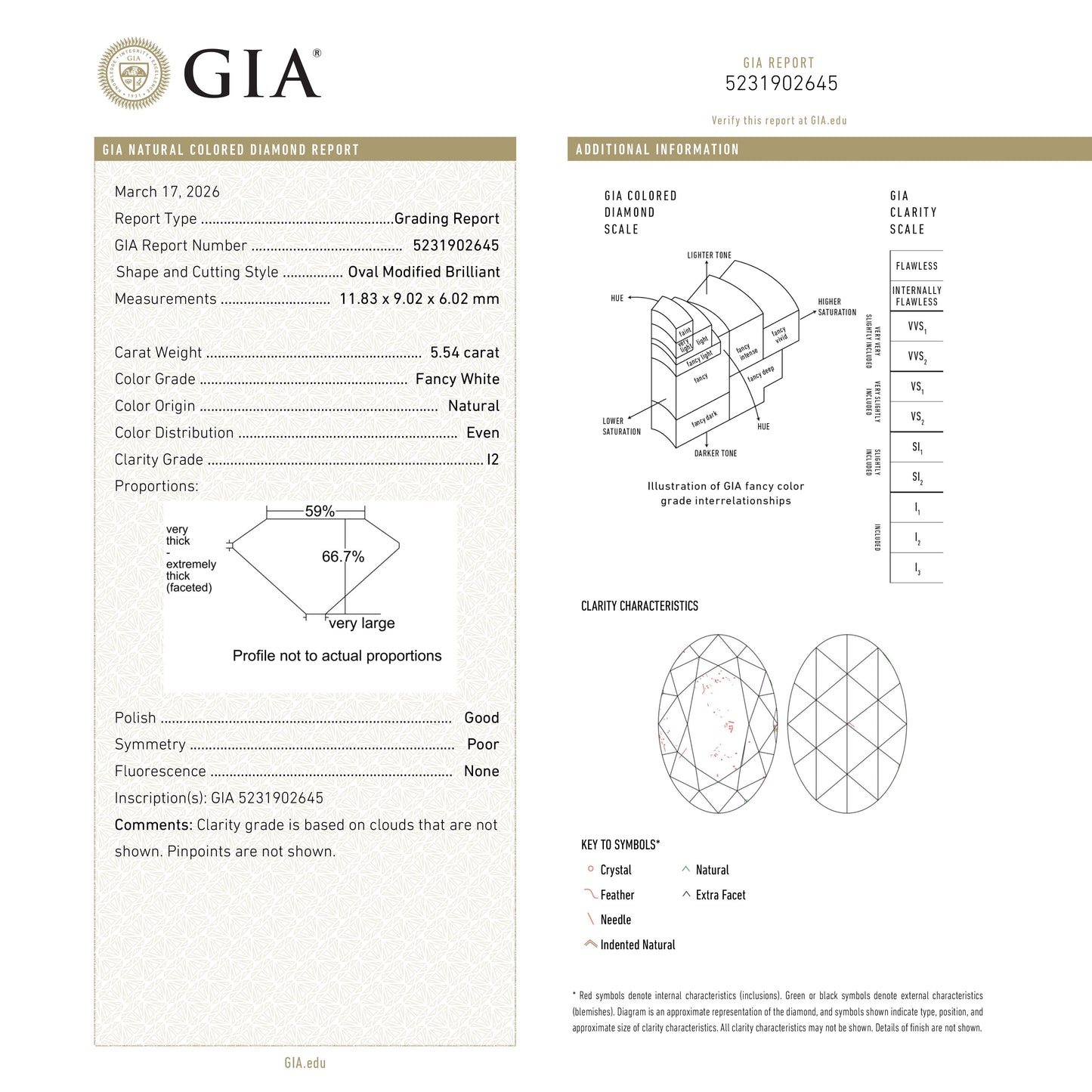 5.54ct 11.83x9.02x6.02mm GIA I2 Fancy White Modern Antique Oval Old Mine Cut 19722-01